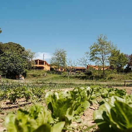 Casa Rural En El Campo Las Dalias Tordera Εξωτερικό φωτογραφία