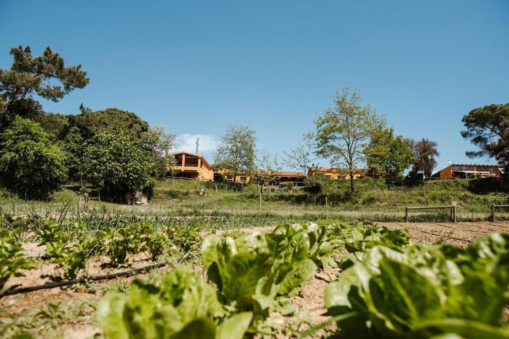 Casa Rural En El Campo Las Dalias Tordera Εξωτερικό φωτογραφία